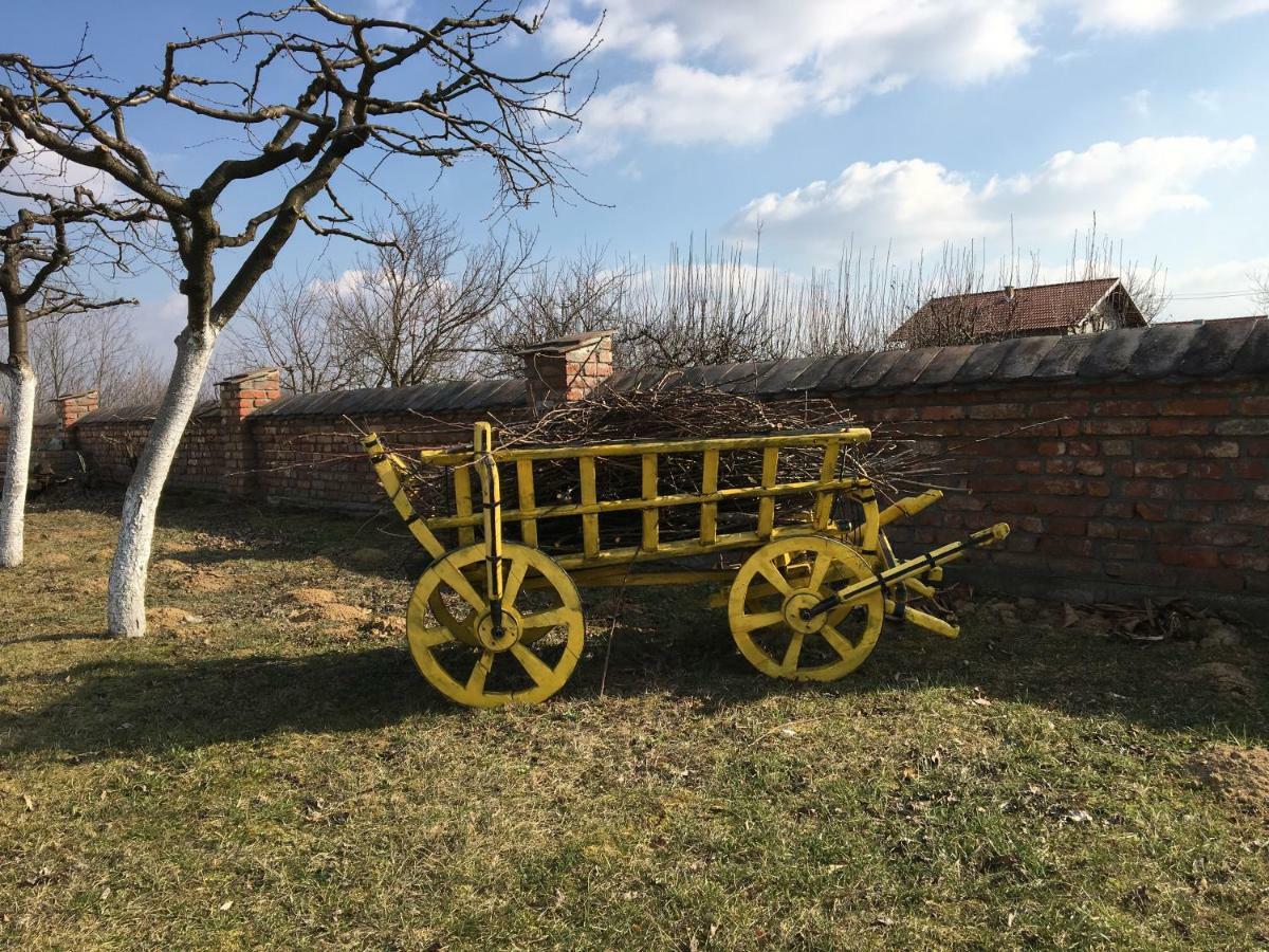 Matanovi Dvori Villa Slavonski Brod Luaran gambar